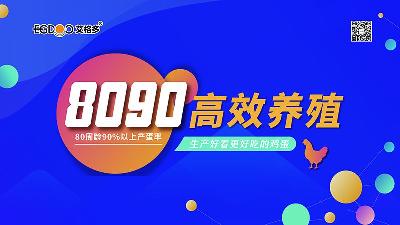 四會(huì)連開，艾格多8090高 效養(yǎng)殖700天唐山區(qū)域線下交流會(huì)成功舉辦