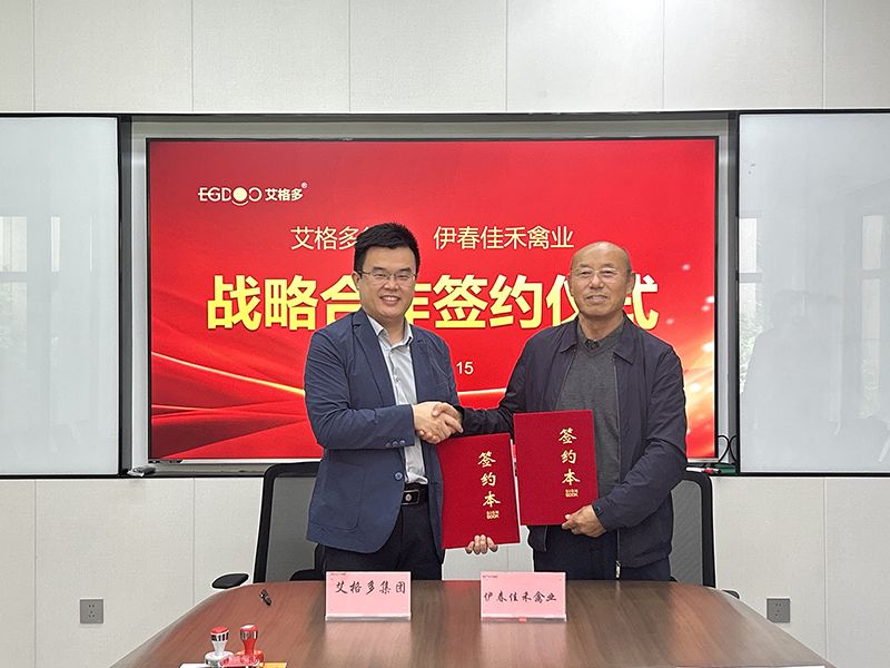 強(qiáng)強(qiáng)聯(lián)合，共筑蛋雞產(chǎn)業(yè)新篇章：艾格多集團(tuán)與佳禾禽業(yè)簽署戰(zhàn)略合作協(xié)議