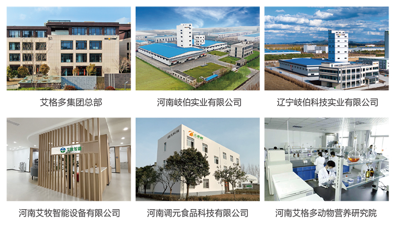 新改